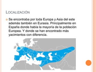 LOCALIZACIÓN
 Se encontraba por toda Europa y Asia del este
además también en Eurasia. Principalmente en
España donde había la mayoría de la población
Europea. Y donde se han encontrado más
yacimientos con diferencia.
 