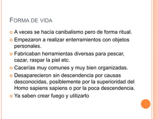 FORMA DE VIDA
 A veces se hacía canibalismo pero de forma ritual.
 Empezaron a realizar enterramientos con objetos
personales.
 Fabricaban herramientas diversas para pescar,
cazar, raspar la piel etc.
 Cacerías muy comunes y muy bien organizadas.
 Desaparecieron sin descendencia por causas
desconocidas, posiblemente por la superioridad del
Homo sapiens sapiens o por la poca descendencia.
 Ya saben crear fuego y utilizarlo
 