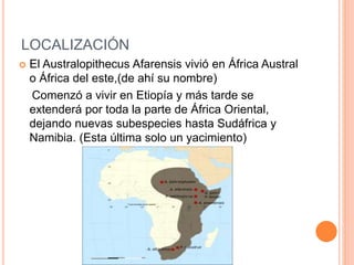 LOCALIZACIÓN
 El Australopithecus Afarensis vivió en África Austral
o África del este,(de ahí su nombre)
Comenzó a vivir en Etiopía y más tarde se
extenderá por toda la parte de África Oriental,
dejando nuevas subespecies hasta Sudáfrica y
Namibia. (Esta última solo un yacimiento)
 