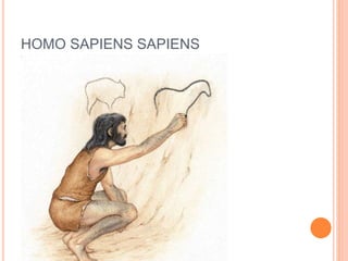 HOMO SAPIENS SAPIENS
 