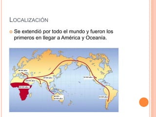 LOCALIZACIÓN
 Se extendió por todo el mundo y fueron los
primeros en llegar a América y Oceanía.
 
