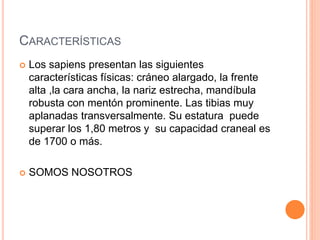 CARACTERÍSTICAS
 Los sapiens presentan las siguientes
características físicas: cráneo alargado, la frente
alta ,la cara ancha, la nariz estrecha, mandíbula
robusta con mentón prominente. Las tibias muy
aplanadas transversalmente. Su estatura puede
superar los 1,80 metros y su capacidad craneal es
de 1700 o más.
 SOMOS NOSOTROS
 