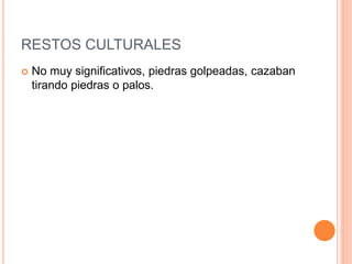RESTOS CULTURALES
 No muy significativos, piedras golpeadas, cazaban
tirando piedras o palos.
 