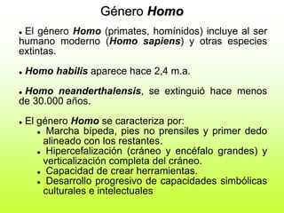 Género Homo
 El género Homo (primates, homínidos) incluye al ser
humano moderno (Homo sapiens) y otras especies
extintas.
 Homo habilis aparece hace 2,4 m.a.
 Homo neanderthalensis, se extinguió hace menos
de 30.000 años.
 El género Homo se caracteriza por:
 Marcha bípeda, pies no prensiles y primer dedo
alineado con los restantes.
 Hipercefalización (cráneo y encéfalo grandes) y
verticalización completa del cráneo.
 Capacidad de crear herramientas.
 Desarrollo progresivo de capacidades simbólicas
culturales e intelectuales
 