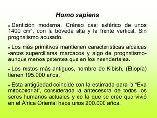 Homo sapiens
 Dentición moderna, Cráneo casi esférico de unos
1400 cm3, con la bóveda alta y la frente vertical. Sin
prognatismo acusado.
 Los más primitivos mantienen características arcaicas
-arcos superciliares marcados y algo de prognatismo-
aunque menos patentes que en los neandertales.
 Los restos más antiguos, hombre de Kibish, (Etiopía)
tienen 195.000 años.
 Esta antigüedad coincide con la estimada para la “Eva
mitocondrial”, considerada la antecesora de todos los
seres humanos actuales y de la que se cree que vivió
en el África Oriental hace unos 200.000 años.
 
