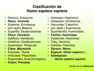 Clasificación de
Homo sapiens sapiens
• Dominio: Eukaryota
• Reino: Animalia
• Subreino: Eumetazoa
• (sin casif.) Bilateria
• Superfilo: Deuterostomata
• Filum: Chordata
• Subfilum: Vertebrata
• Infrafilum: Gnathostomata
• Superclase: Tetrapoda
• Clase: Mammalia
• Subclase: Theria
• Infraclase: Placentalia
• Superorden: Euarchontoglires
• Orden: Primates
• Suborden: Haplorrhini
• Infraorden: Simiiformes
• Parvorden: Catarrhini
• (sin clasif.): Euarchonta
• Superfamilia: Hominoidea
• Familia: Hominidae
• Subfamilia: Homininae
• Tribu: Hominini
• Subtribu: Hominina
• Género: Homo
• Especie: Homo sapiens L.
• Subespecie:
– Homo sapiens sapiens
Modificado de Wikipedia
 