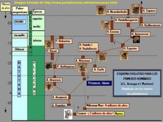 Imagen tomada de http://www.portalciencia.net/antroevoerec.html
 