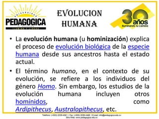EVOLUCION
                 HUMANA
• La evolución humana (u hominización) explica
  el proceso de evolución biológica de la especie
  humana desde sus ancestros hasta el estado
  actual.
• El término humano, en el contexto de su
  evolución, se refiere a los individuos del
  género Homo. Sin embargo, los estudios de la
  evolución      humana       incluyen      otros
  homínidos,                                como
  Ardipithecus, Australopithecus, etc.
 
