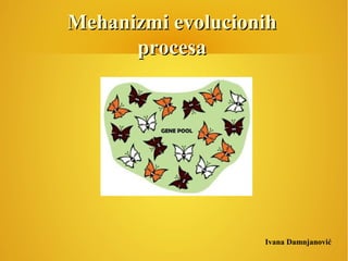 Mehanizmi evolucionihMehanizmi evolucionih
procesaprocesa
Ivana Damnjanović
 