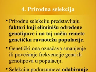 4. Prirodna selekcija

Prirodnu selekciju predstavljaju
faktori koji eliminišu određene
genotipove i na taj način remete
genetičku ravnotežu populacije.

Genetički ona označava smanjenje
ili povećanje frekvencije gena ili
genotipova u populaciji.

Selekcija podrazumeva odabiranje
 