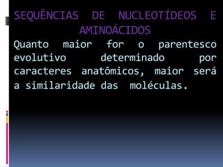 SEQUÊNCIAS

DE NUCLEOTÍDEOS
AMINOÁCIDOS

E

Quanto maior for o parentesco
evolutivo
determinado
por
caracteres anatômicos, maior será
a similaridade das moléculas.

 