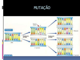 MUTAÇÃO

 