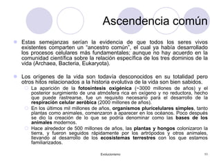 Evolucionismo 11
Ascendencia común
 Estas semejanzas serían la evidencia de que todos los seres vivos
existentes comparten un “ancestro común”, el cual ya había desarrollado
los procesos celulares más fundamentales; aunque no hay acuerdo en la
comunidad científica sobre la relación específica de los tres dominios de la
vida (Archaea, Bacteria, Eukaryota).
 Los orígenes de la vida son todavía desconocidos en su totalidad pero
otros hitos relacionados a la historia evolutiva de la vida son bien sabidos.
 La aparición de la fotosíntesis oxigénica (~3000 millones de años) y el
posterior surgimiento de una atmósfera rica en oxígeno y no reductora, hecho
que puede rastrearse, fue un requisito necesario para el desarrollo de la
respiración celular aeróbica (2000 millones de años).
 En los últimos mil millones de años, organismos pluricelulares simples, tanto
plantas como animales, comenzaron a aparecer en los océanos. Poco después
se dio la creación de lo que se podría denominar como las bases de los
animales modernos.
 Hace alrededor de 500 millones de años, las plantas y hongos colonizaron la
tierra, y fueron seguidos rápidamente por los artrópodos y otros animales,
llevando al desarrollo de los ecosistemas terrestres con los que estamos
familiarizados.
 