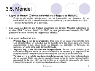 Evolucionismo 22
3.5. Mendel
 Leyes de Mendel (Genética mendeliana o Reglas de Mendel):
 Conjunto de reglas relacionadas con la transmisión por herencia de las
características que poseen los organismos padres y que transmiten a sus hijos.
 Tiene su fundamento en la genética.
 Las leyes se derivan del trabajo realizado por Gregor Mendel publicado en
el año 1865, "re-descubierto“ en 1900, el cual generó controversia. En 1915
pasaron a ser el núcleo de la genética clásica.
 Las leyes de Mendel son:
 Primera ley, o ley de segregación: Dice que en un cruce monohíbrido (una
sola característica) un individuo que es diploide tiene dos alelos para una misma
característica, y que estos alelos se separan (se segregan) al formarse los
gametos; un alelo para cada gameto formado.
 Segunda ley, o de distribución independiente: En un cruce dihíbrido (dos
características) dos alelos de una característica se separan y su separación es
independiente a la separación de los alelos del otro locus o característica.
 Tercera ley, o ley de la combinación de los genes (transmisión independiente
de los genes): Cada una de las características puras de cada variedad (color,
rugosidad de la piel, etc.) se transmiten a la siguiente generación de forma
independiente entre sí, siguiendo las dos primeras leyes.
 
