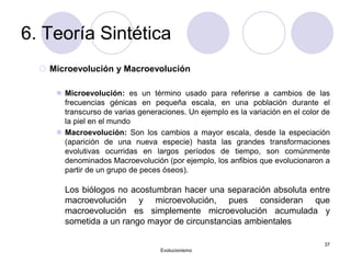 6. Teoría Sintética
 Microevolución y Macroevolución
 Microevolución: es un término usado para referirse a cambios de las
frecuencias génicas en pequeña escala, en una población durante el
transcurso de varias generaciones. Un ejemplo es la variación en el color de
la piel en el mundo
 Macroevolución: Son los cambios a mayor escala, desde la especiación
(aparición de una nueva especie) hasta las grandes transformaciones
evolutivas ocurridas en largos períodos de tiempo, son comúnmente
denominados Macroevolución (por ejemplo, los anfibios que evolucionaron a
partir de un grupo de peces óseos).
Los biólogos no acostumbran hacer una separación absoluta entre
macroevolución y microevolución, pues consideran que
macroevolución es simplemente microevolución acumulada y
sometida a un rango mayor de circunstancias ambientales
Evolucionismo
37
 