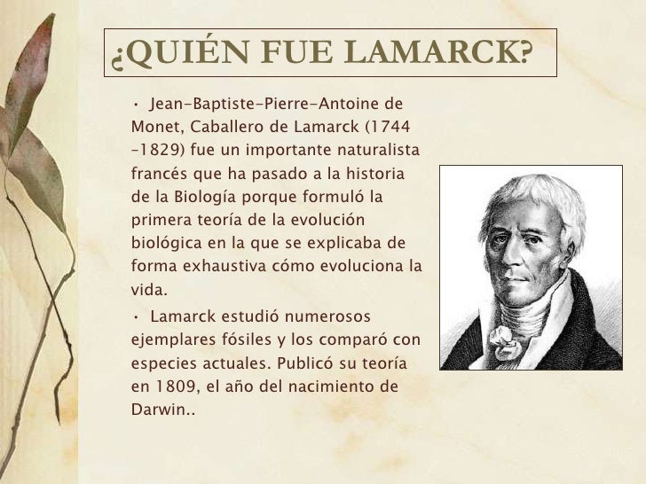 Â¿QUIÃ‰N FUE LAMARCK?â€¢ Jean-Baptiste-Pierre-Antoine deMonet, Caballero de Lamarck (1744â€“1829) fue un importante naturalistaf...