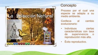 Concepto
Proceso por el cual una
especie se adapta a su
medio ambiente.
Conlleva      al     cambio
evolucionario:
•   Individuos        ciertas
    características con tasa
    de     supervivencia    o
    reproducción más alta.
•   Éxito reproductivo.
 