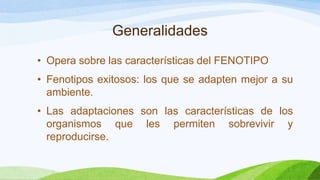 Generalidades
• Opera sobre las características del FENOTIPO
• Fenotipos exitosos: los que se adapten mejor a su
  ambiente.
• Las adaptaciones son las características de los
  organismos que les permiten sobrevivir y
  reproducirse.
 