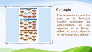 Concepto
Fuerza evolutiva que actúa
junto con la Selección
Natural cambiando las
características   de      las
especies en el tiempo,
debido al cambio aleatorio
en las frecuencias alélicas.
 