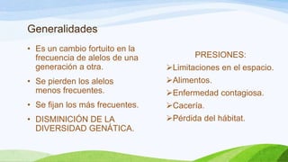 Generalidades
• Es un cambio fortuito en la
  frecuencia de alelos de una           PRESIONES:
  generación a otra.             Limitaciones en el espacio.
• Se pierden los alelos          Alimentos.
  menos frecuentes.              Enfermedad contagiosa.
• Se fijan los más frecuentes.   Cacería.
• DISMINICIÓN DE LA              Pérdida del hábitat.
  DIVERSIDAD GENÁTICA.
 