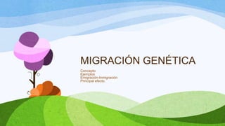 MIGRACIÓN GENÉTICA
Concepto
Ejemplos
Emigración-Inmigración
Principal efecto.
 