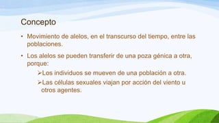 Concepto
• Movimiento de alelos, en el transcurso del tiempo, entre las
  poblaciones.
• Los alelos se pueden transferir de una poza génica a otra,
  porque:
     Los individuos se mueven de una población a otra.
     Las células sexuales viajan por acción del viento u
       otros agentes.
 