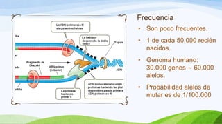 Frecuencia
• Son poco frecuentes.
• 1 de cada 50.000 recién
  nacidos.
• Genoma humano:
  30.000 genes ∼ 60.000
  alelos.
• Probabilidad alelos de
  mutar es de 1/100.000
 