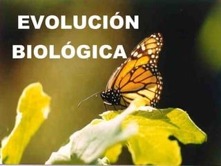 EVOLUCIÓN  BIOLÓGICA 
