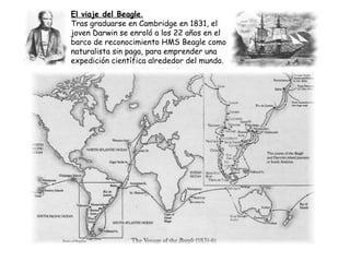 El viaje del Beagle.
Tras graduarse en Cambridge en 1831, el
joven Darwin se enroló a los 22 años en el
barco de reconocimiento HMS Beagle como
naturalista sin paga, para emprender una
expedición científica alrededor del mundo.
 