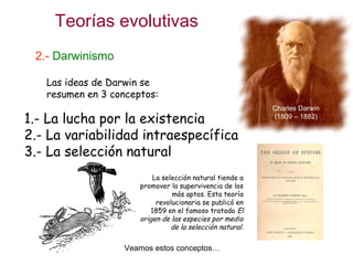 Teorías evolutivas
2.- Darwinismo
1.- La lucha por la existencia
2.- La variabilidad intraespecífica
3.- La selección natural
Veamos estos conceptos…
Las ideas de Darwin se
resumen en 3 conceptos:
La selección natural tiende a
promover la supervivencia de los
más aptos. Esta teoría
revolucionaria se publicó en
1859 en el famoso tratado El
origen de las especies por medio
de la selección natural.
Charles Darwin
(1809 – 1882)
 