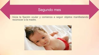 • Inicia la fijación ocular y comienza a seguir objetos manifestando
reconocer a la madre.
Segundo mes
 