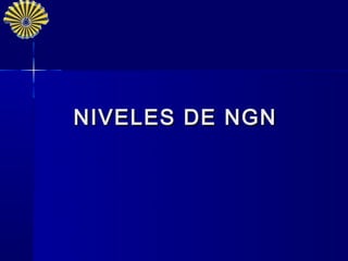 NIVELES DE NGN
 