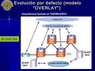 Evolución por defecto (modelo
             “OVERLAY”)
          Arquitectura basada en OADMs/OXCs




IP/DWDM




                                              24
 