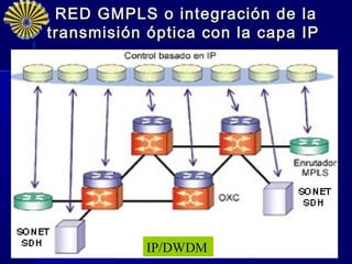 RED GMPLS o integración de la
transmisión óptica con la capa IP




            IP/DWDM                 25
 