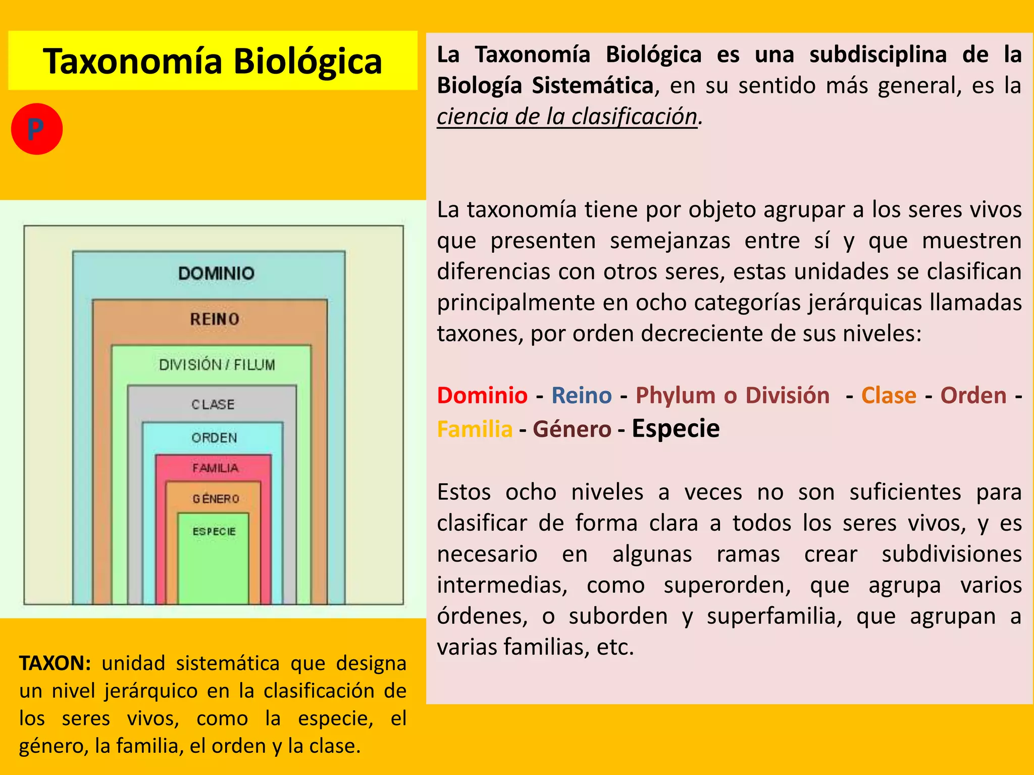 Evolucion resumido | PPTX