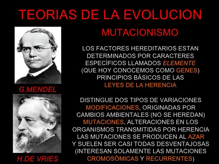 Autor de la teoria de la evolucion_teorias