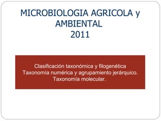Clasificación taxonómica y filogenética Taxonomía numérica y agrupamiento jerárquico. Taxonomía molecular.  MICROBIOLOGIA AGRICOLA y AMBIENTAL  2011 