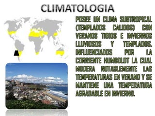 CLIMATOLOGIAPOSEE UN CLIMA SUBTROPICAL (TEMPLADOS CALIDOS) CON VERANOS TIBIOS E INVIERNOS LLUVIOSOS Y TEMPLADOS. INFLUENCIADOS POR LA CORRIENTE HUMBOLDT LA CUAL MODERA NOTABLEMENTE LAS TEMPERATURAS EN VERANO Y SE MANTIENE UNA TEMPERATURA AGRADABLE EN INVIERNO.
