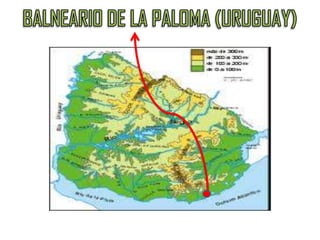 BALNEARIO DE LA PALOMA (URUGUAY)