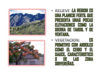 RELIEVE :LA REGION ES UNA PLANICIE FERTIL QUE PRESENTA UNAS POCAS ELEVACIONES COMO LA SIERRA DE TANDIL Y DE VENTANA.VEGETACION:ES PRIMITIVO CON ARBOLES COMO EL CEIBO Y EL SAUCE, CARACTERISTICOS DE LAS ZONA SRIVEREÑAS.