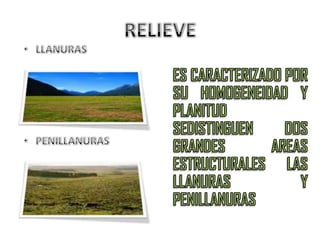 PLAYA CENTOR DE PIRIAPOLIS