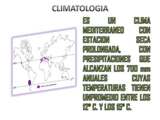 CERRO DEL BURRO. ENTRE OTROS.
