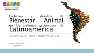 Evolución y desafíos de
Bienestar Animal
en los sistemas productivos de
Latinoamérica
ASOCIACIÓN CHILENA DE BIENESTAR ANIMAL
Roberto Becerra (MV)
Presidente
 