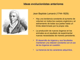Ideas evolucionistas anteriores Jean Baptiste Lamarck (1744-1829): Hay una tendencia constante al aumento de volumen en todos los cuerpos orgánicos y al estiramiento de todas sus partes hasta un límite determinado por la propia vida. La producción de nuevos órganos en los animales es el resultado de experimentar nuevas necesidades de manera persistente.  El desarrollo de órganos y sus facultades mantienen una relación constante con el uso de los órganos en cuestión.  La herencia de los caracteres adquiridos. 