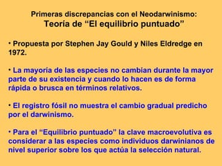 Primeras discrepancias con el Neodarwinismo: Teoría de “El equilibrio puntuado” Propuesta por Stephen Jay Gould y Niles Eldredge en 1972. La mayoría de las especies no cambian durante la mayor parte de su existencia y cuando lo hacen es de forma rápida o brusca en términos relativos. El registro fósil no muestra el cambio gradual predicho por el darwinismo. Para el “Equilibrio puntuado” la clave macroevolutiva es considerar a las especies como individuos darwinianos de nivel superior sobre los que actúa la selección natural. 