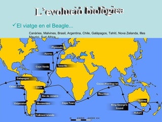 El viatge en el Beagle...
       Canàries, Malvines, Brasil, Argentina, Chile, Galàpagos, Tahití, Nova Zelanda, Illes
       Maurici, Sud Africa....
 
