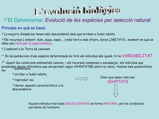 El Darwinisme: Evolució de les espècies per selecció natural
Principis en què es basa:
La majoria d’espècies tenen més descendents dels que arriben a l’edat adulta.
Els recursos ( aliment, llum, aigua, espai... ) més tard o més d’hora, seran LIMITATS., moment en què es
dóna una lluita per la supervivència.
L’ambient a la Terra és canviant.

 En les poblacions d’una espècie determinada no tots els individus són iguals, hi ha   VARIABILITAT.
 Quant les condicions ambientals canvien, i els recursos comencen a escassejar, els individus que
presenten alguna diferència que els permeti algun AVANTATGE sobre la resta, tindran més possibilitats
       sobreviure,
de:
       arribar a l’edat adulta,
                                                                Diem que estan més ben
       reproduir-se,
                                                                           ADAPTATS
       deixar aquesta característica a la
       descendència



                   Aquest individus han estat SELECCIONATS de forma NATURAL per les condicions
                   canviants de l’ambient.
 