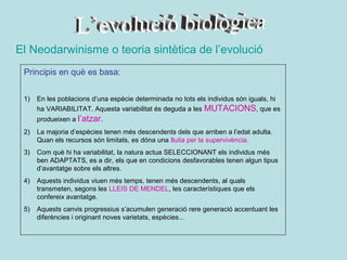 El Neodarwinisme o teoria sintètica de l’evolució
 Principis en què es basa:


 1)   En les poblacions d’una espècie determinada no tots els individus són iguals, hi
      ha VARIABILITAT. Aquesta variabilitat és deguda a les MUTACIONS, que es
      produeixen a l’atzar.
 2)   La majoria d’espècies tenen més descendents dels que arriben a l’edat adulta.
      Quan els recursos són limitats, es dóna una lluita per la supervivència.
 3)   Com què hi ha variabilitat, la natura actua SELECCIONANT els individus més
      ben ADAPTATS, es a dir, els que en condicions desfavorables tenen algun tipus
      d’avantatge sobre els altres.
 4)   Aquests individus viuen més temps, tenen més descendents, al quals
      transmeten, segons les LLEIS DE MENDEL, les característiques que els
      confereix avantatge.
 5)   Aquests canvis progressius s’acumulen generació rere generació accentuant les
      diferències i originant noves varietats, espècies...
 