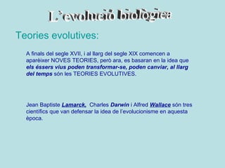 Teories evolutives:
  A finals del segle XVII, i al llarg del segle XIX comencen a
  aparèixer NOVES TEORIES, però ara, es basaran en la idea que
  els éssers vius poden transformar-se, poden canviar, al llarg
  del temps són les TEORIES EVOLUTIVES.




  Jean Baptiste Lamarck, Charles Darwin i Alfred Wallace són tres
  científics que van defensar la idea de l’evolucionisme en aquesta
  època.
 