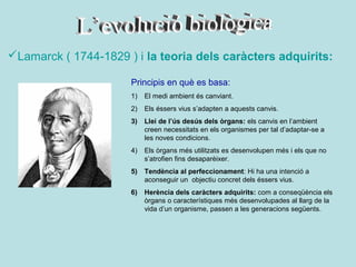 Lamarck ( 1744-1829 ) i la teoria dels caràcters adquirits:

                      Principis en què es basa:
                      1)   El medi ambient és canviant.
                      2)   Els éssers vius s’adapten a aquests canvis.
                      3)   Llei de l’ús desús dels òrgans: els canvis en l’ambient
                           creen necessitats en els organismes per tal d’adaptar-se a
                           les noves condicions.
                      4)   Els òrgans més utilitzats es desenvolupen més i els que no
                           s’atrofien fins desaparèixer.
                      5)   Tendència al perfeccionament: Hi ha una intenció a
                           aconseguir un objectiu concret dels éssers vius.
                      6)   Herència dels caràcters adquirits: com a conseqüència els
                           òrgans o característiques més desenvolupades al llarg de la
                           vida d’un organisme, passen a les generacions següents.
 